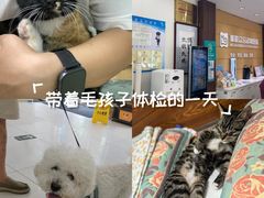 -美联众合动物医院·24h京西诊疗中心