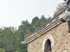 -白水寺森林公园