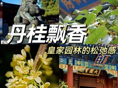 -颐和园