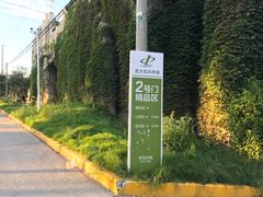 -龙大花卉苗木市场