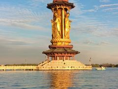 -溱湖国家湿地公园