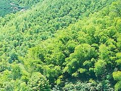 -千龙湖生态旅游度假区