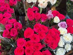 -循礼门鲜花花市(武汉循礼门店)