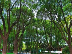 -昆山城市生态森林公园