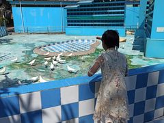 -百万葵园