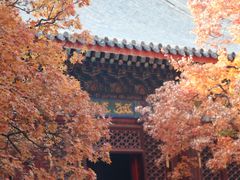 -香山公园