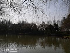 -瀛洲公园