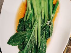 -1937青岛老味道·海肠捞饭·青岛菜(大鲍岛栈桥店)