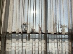 -MASTER 男士发型设计