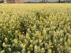 -中国天府农业博览园