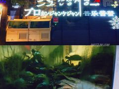 -普乐酱蟹(coex店)
