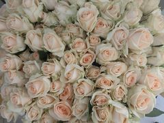 -地铁11号线罗山路站-停车场