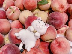 -食盈碗仔翅(星玺广场店)