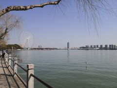 -无锡蠡湖国家湿地公园-蠡园