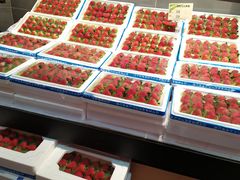 -新隆嘉生鲜超市(北二经街店)