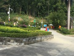 -田心森林公园