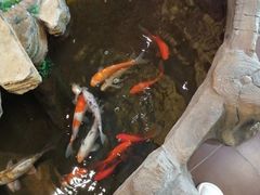 -鸥迪足道(湖南示范店)