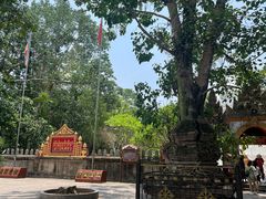 -西双版纳傣族园-曼春满佛寺