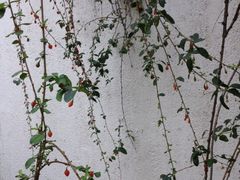 iphone_upload_pic-三山岛