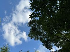 -长春市南湖公园