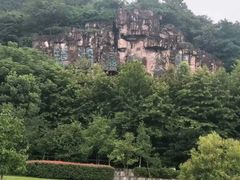 -绍兴镜湖国家城市湿地公园
