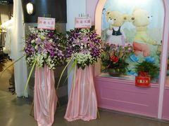 -香港珍妮曲奇聪明小熊饼干