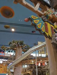 -卡通尼·Safari非洲探索乐园·生日会(金桥国际商业广场店)