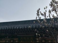 -迎泽公园