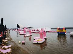 -碧海金沙
