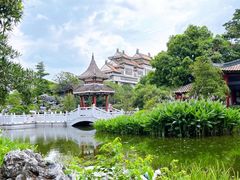 -顺峰山公园