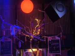 -XIUhome秀候酒馆(玉林路店)