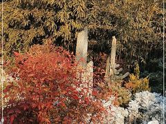 -香山公园