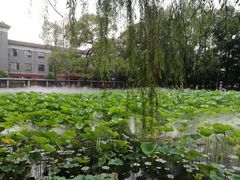 -四川大学(望江校区)