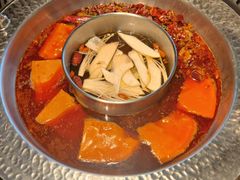 -晓宇重庆火锅(赛格国际购物中心店)