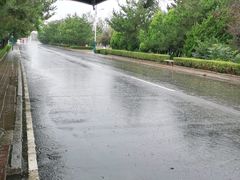 -日照海滨国家森林公园