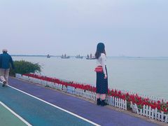 -贡湖湾湿地公园