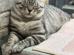-云龙山