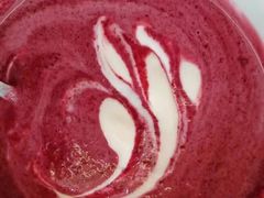 -南京小时候桑葚采摘园