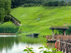 -番禺大夫山森林公园