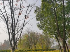 -长田漾湿地公园