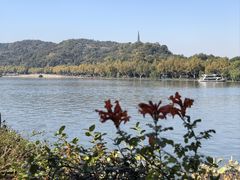 -湖畔居茶楼(湖滨店)