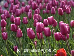 -国家植物园