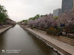 -元大都城垣遗址公园