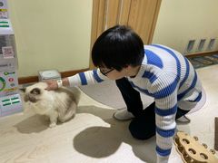 -猫和宫(六道口店)