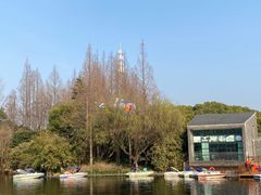 -上海滨江森林公园