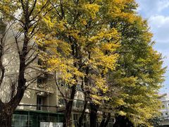 -黑山牛肉汤火锅(花城汇店)