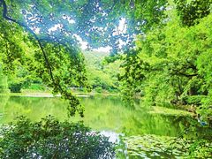 -灵谷景区