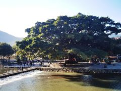 -云水谣景区
