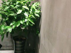-鸽子窝(宋庄店)
