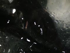 -大鹅岛灶台鱼·铁锅炖(水库路店)